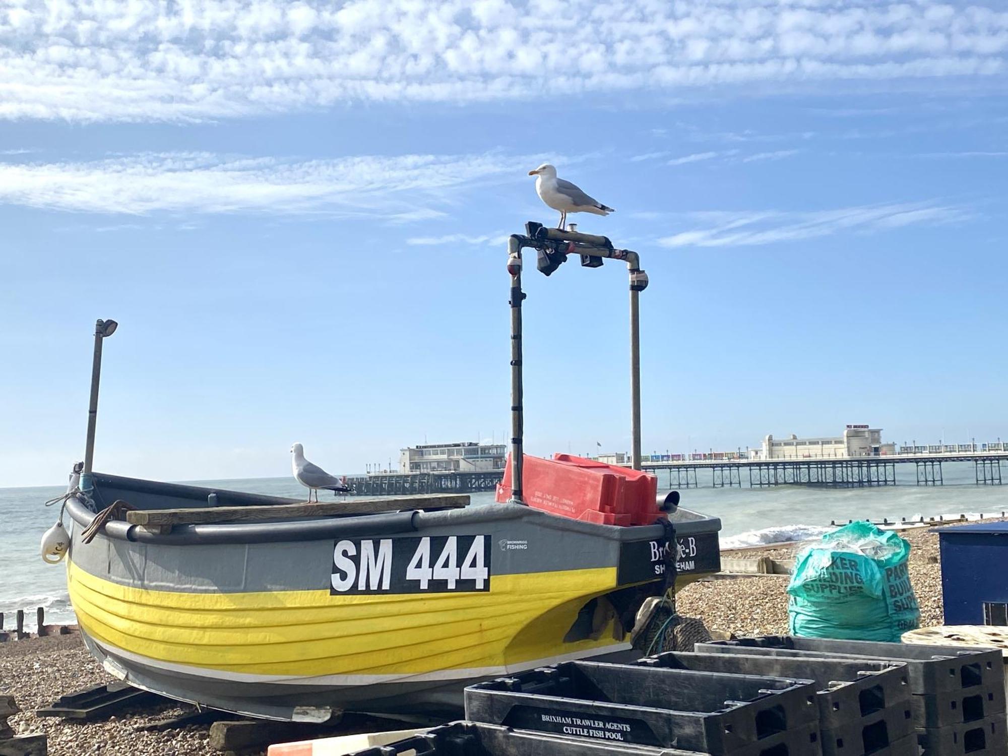 Stunning 2 Bed Apartment Sea Views And Parking Worthing Luaran gambar